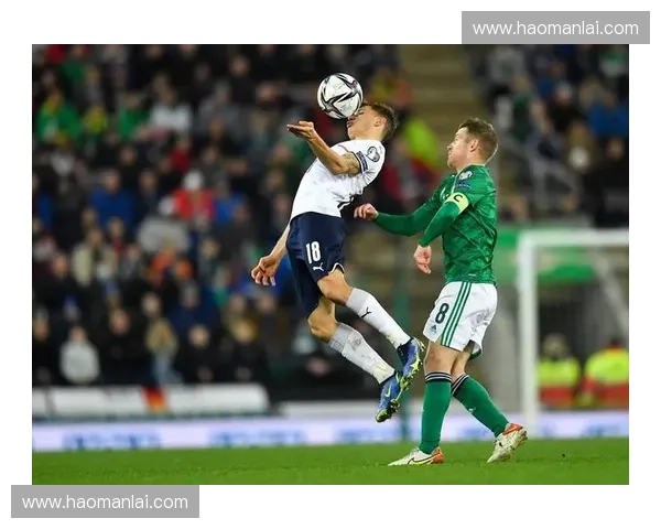 2025年德国足球联赛最新排名分析与球队表现评估